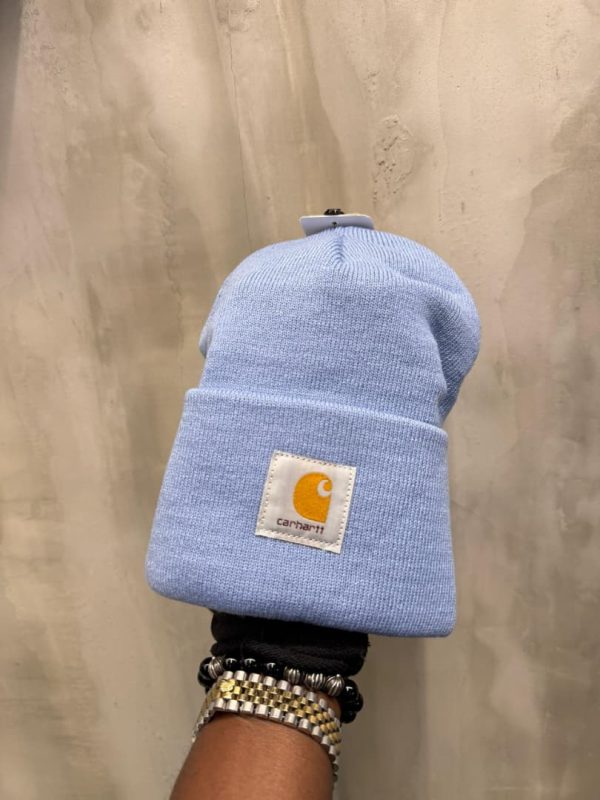 Top Quality Carhartt & Louis Vuitton Beanie carhartt louis vuitton beanie