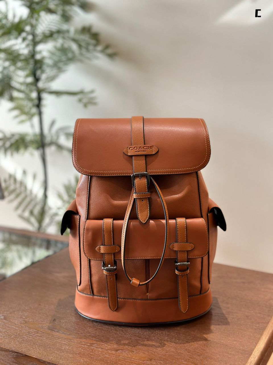 coach hudson backpack